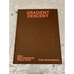 Gradient Descent Buch